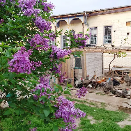 فندق Armesos Cave أوروغوبْ