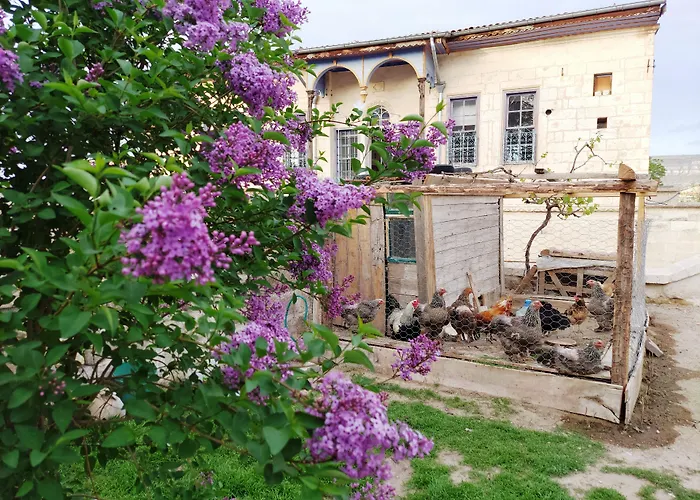 Hotel Armesos Cave Ürgüp